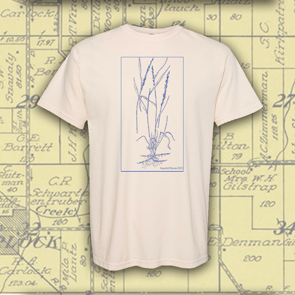 Tall Grasses '22 | T-Shirt